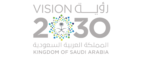 رؤية المملكة 2030